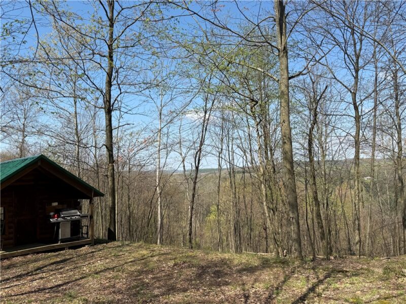 6 Acres along Gallagher & Loop Roads — photo 8