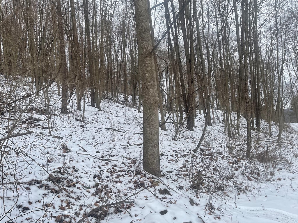 130 Wood — photo 1