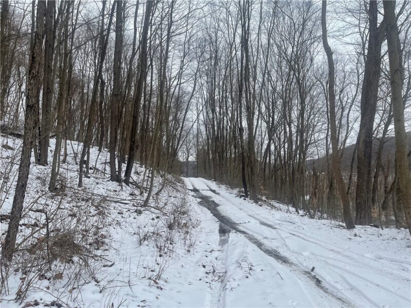 130 Wood — photo 3