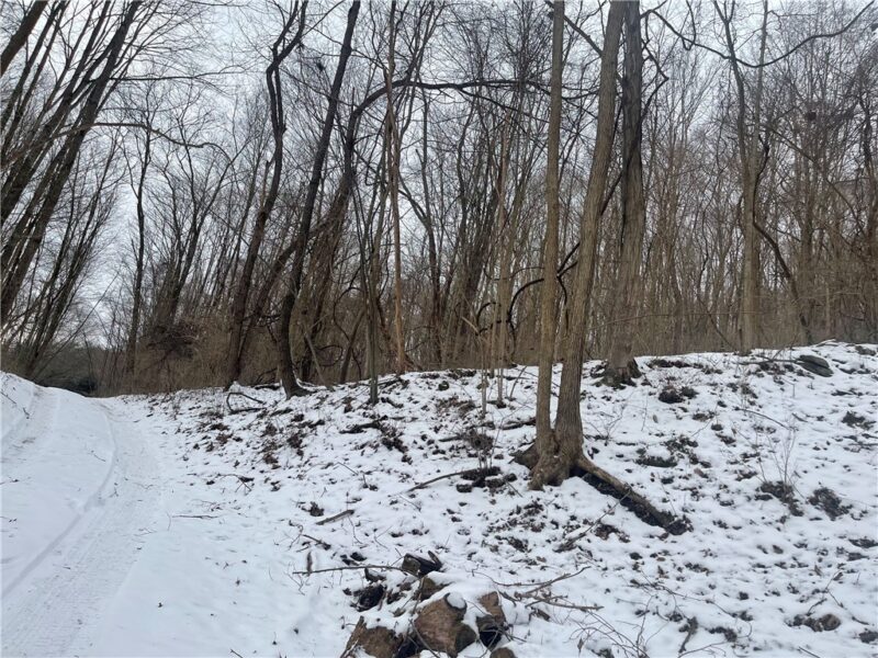 130 Wood — photo 4