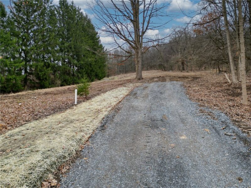 3376 Saxonburg Boulevard — photo 3