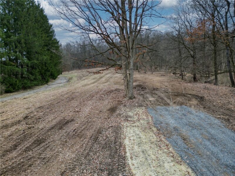 3376 Saxonburg Boulevard — photo 4