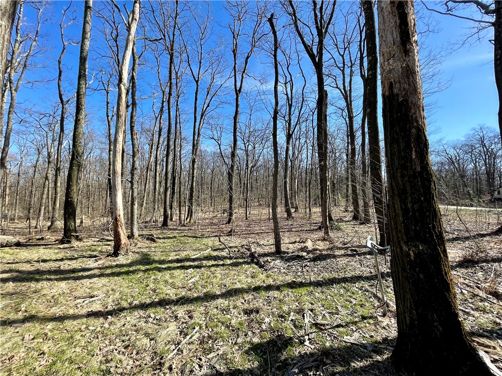 13 14 15 16 Laurel Summit Rd. — photo 1