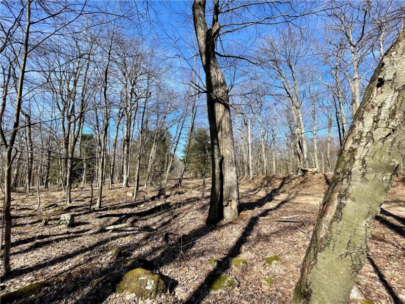13 14 15 16 Laurel Summit Rd. — photo 2