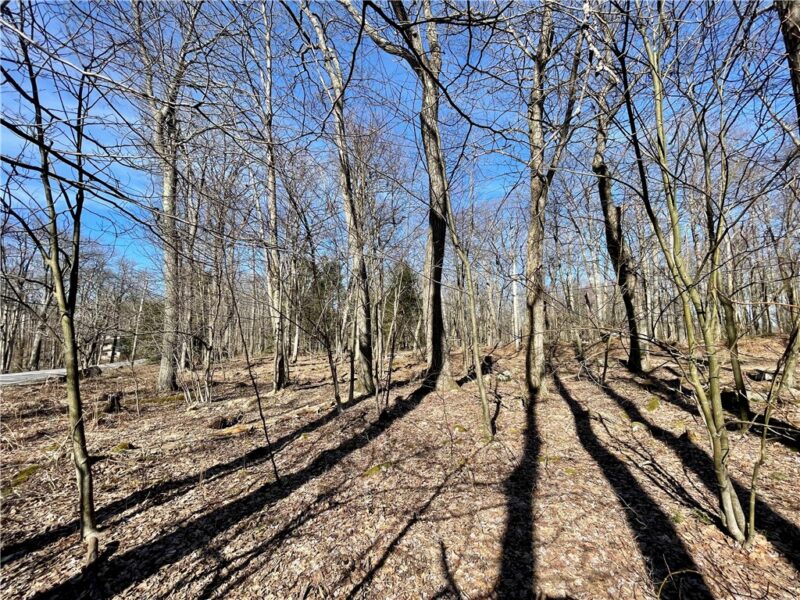13 14 15 16 Laurel Summit Rd. — photo 3
