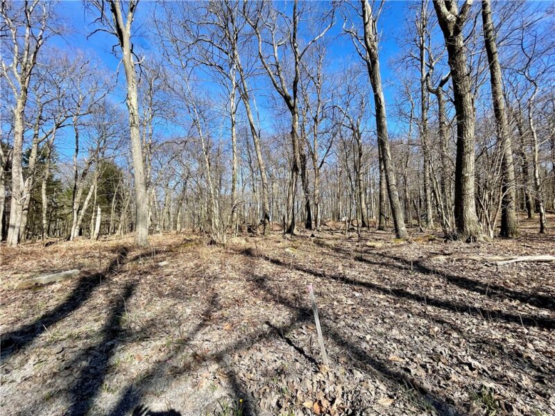 13 14 15 16 Laurel Summit Rd. — photo 5
