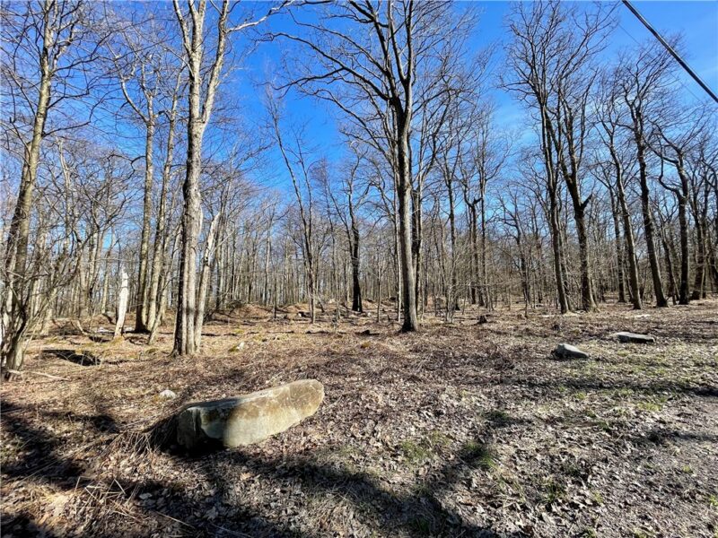 13 14 15 16 Laurel Summit Rd. — photo 7
