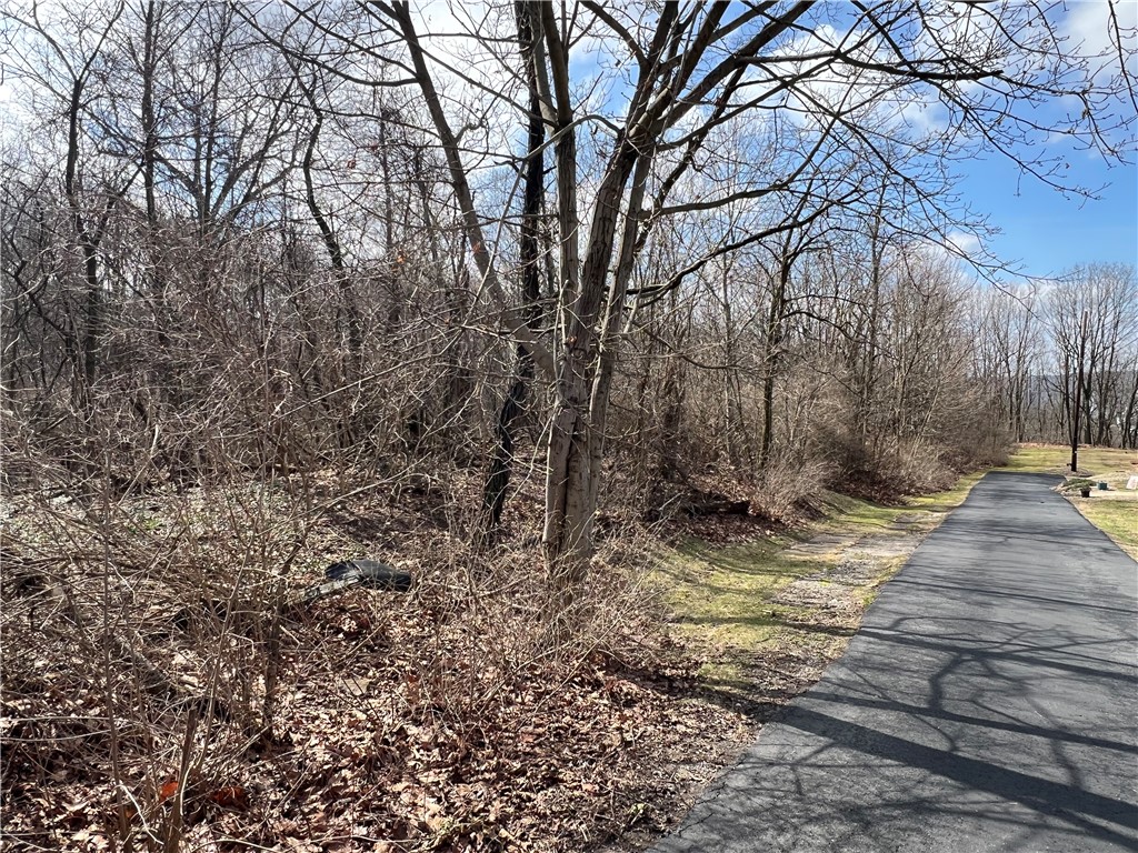 0 Spruce Dr — photo 1