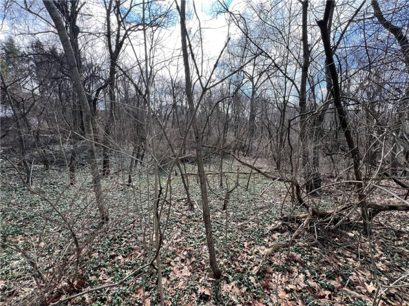 0 Spruce Dr — photo 2