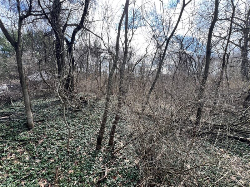 0 Spruce Dr — photo 4