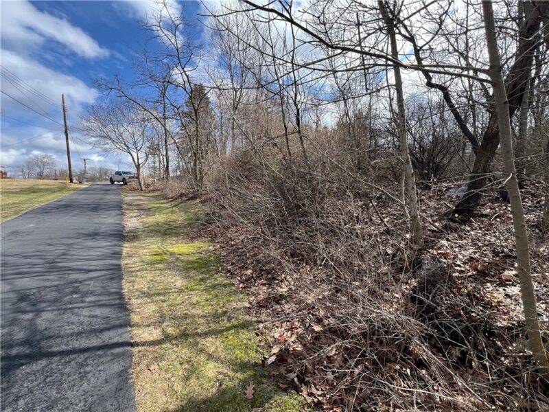 0 Spruce Dr — photo 7