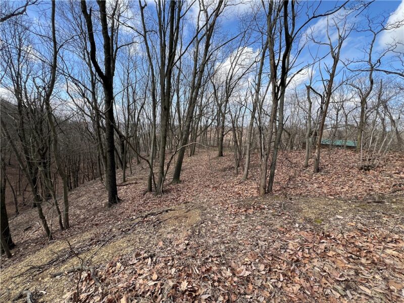 0 Spruce Dr — photo 8