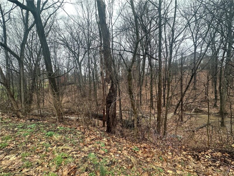 Lot #2 Woodhaven Drive — photo 2
