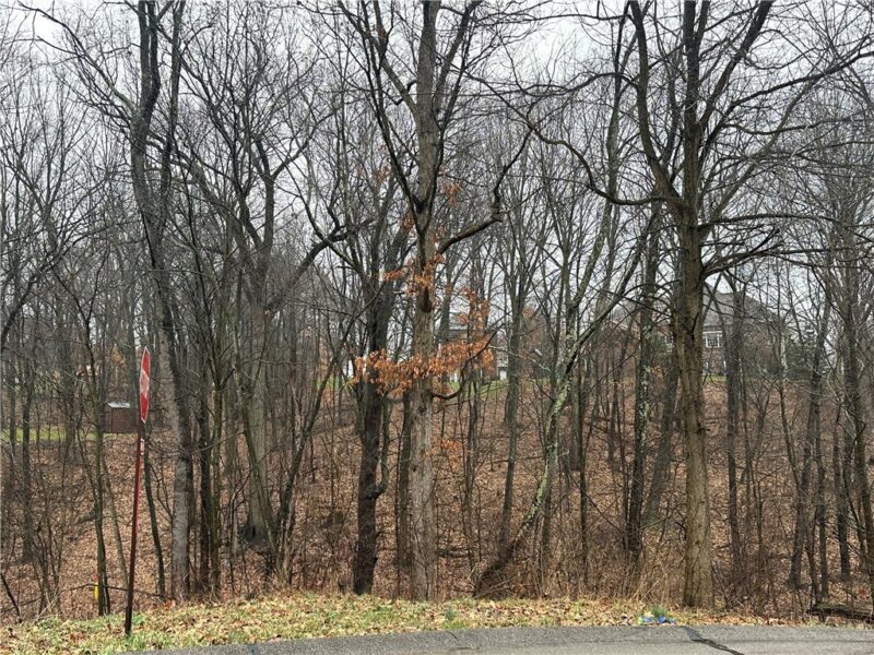 Lot #2 Woodhaven Drive — photo 3
