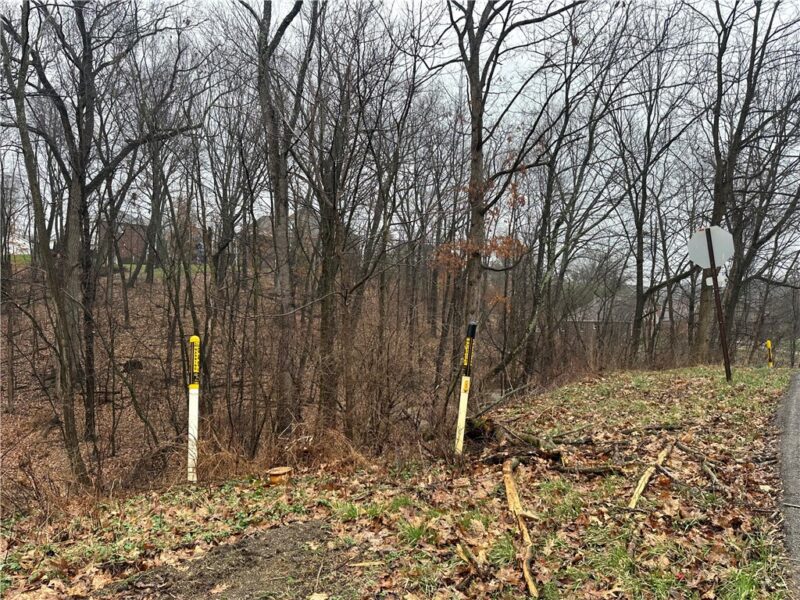 Lot #2 Woodhaven Drive — photo 4