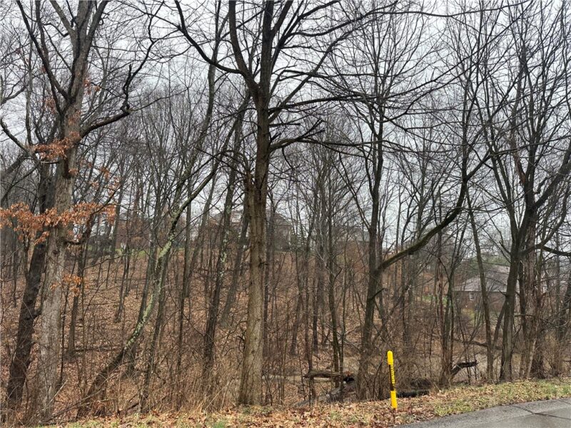 Lot #2 Woodhaven Drive — photo 5