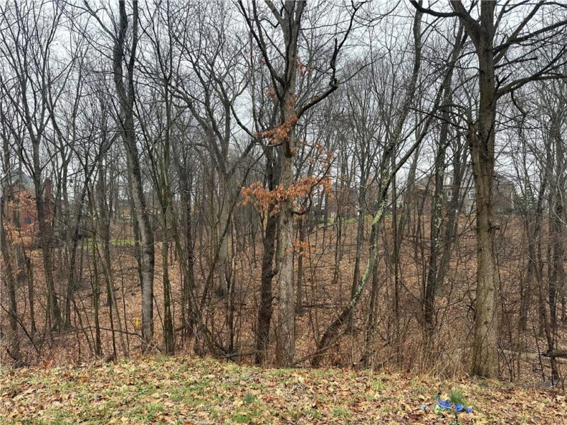 Lot #2 Woodhaven Drive — photo 6
