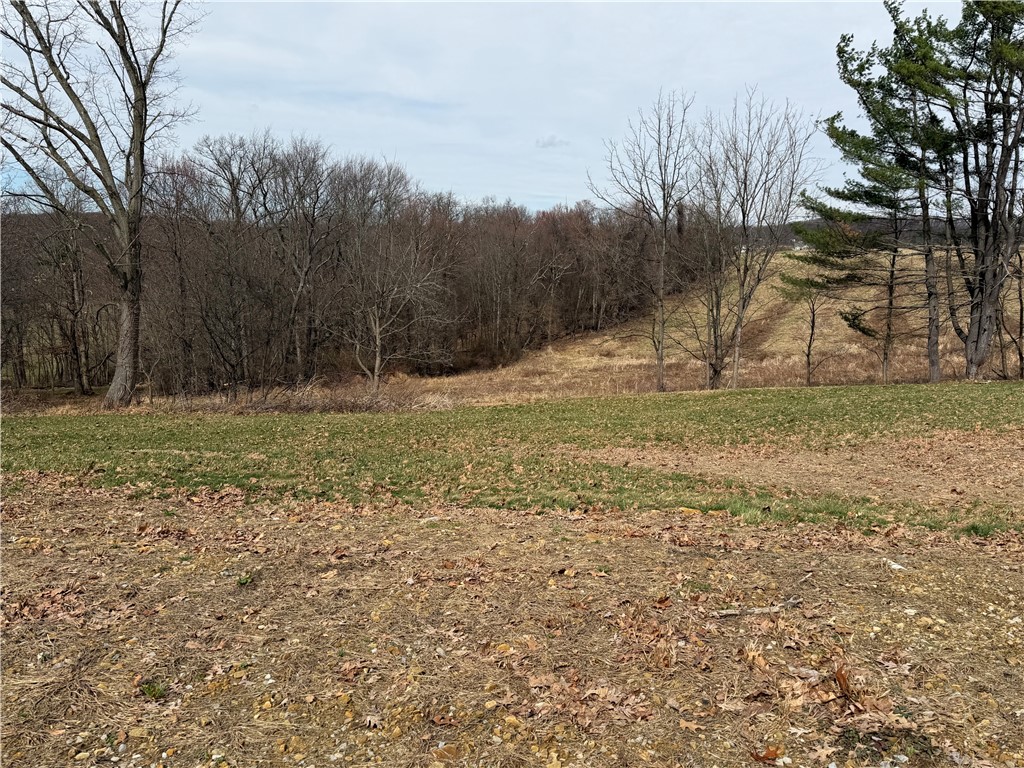 410 Elderberry Lane — photo 1