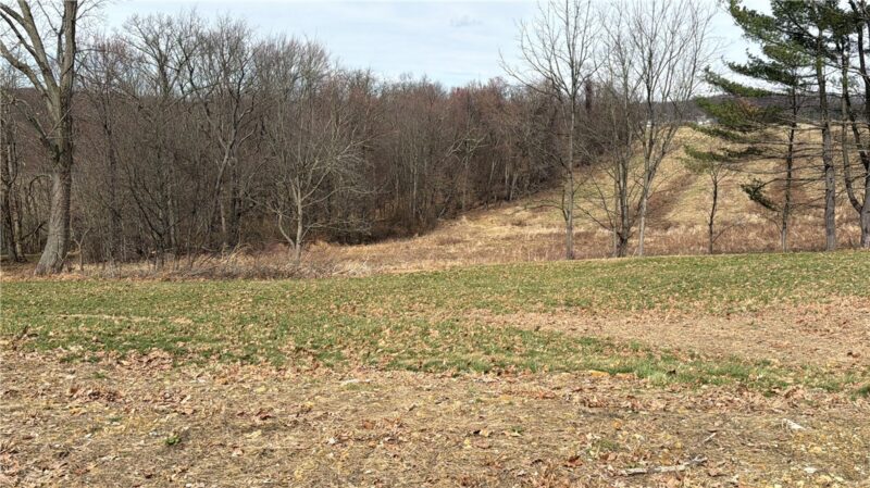 410 Elderberry Lane — photo 2