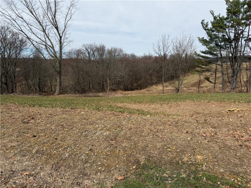 410 Elderberry Lane — photo 5