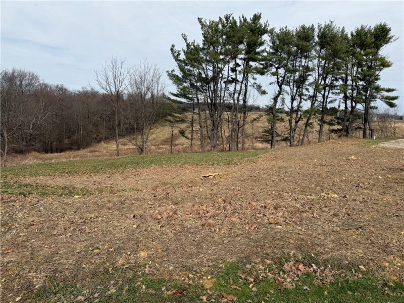 410 Elderberry Lane — photo 6