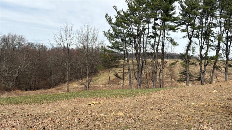 410 Elderberry Lane — photo 8