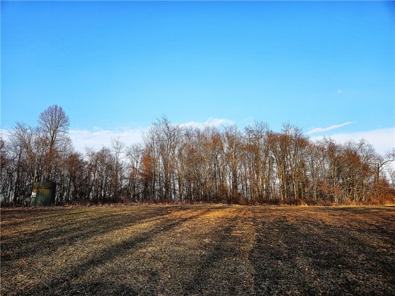 00 Blackleggs Rd — photo 2