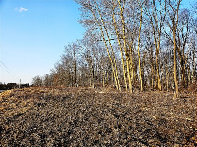 00 Blackleggs Rd — photo 4
