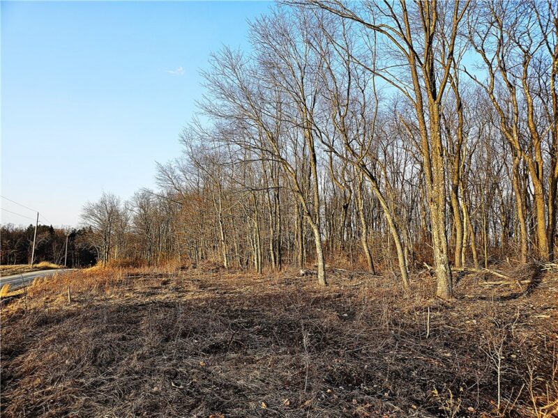 00 Blackleggs Rd — photo 6