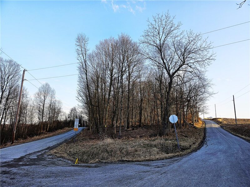 00 Blackleggs Rd — photo 8