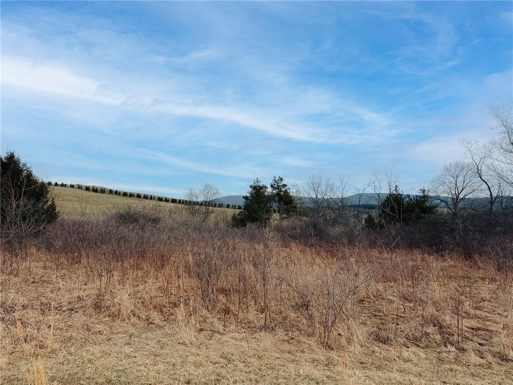0 County Line Rd — photo 1
