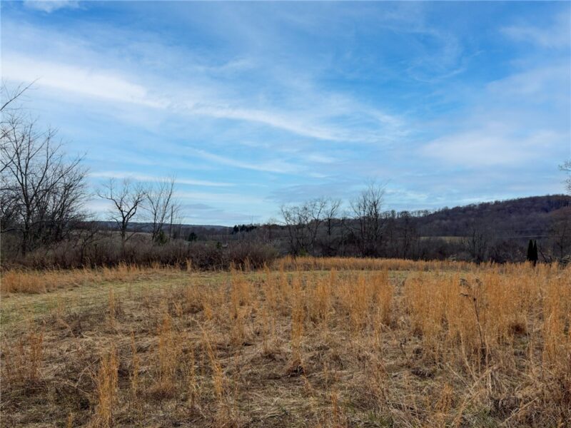 0 County Line Rd — photo 2