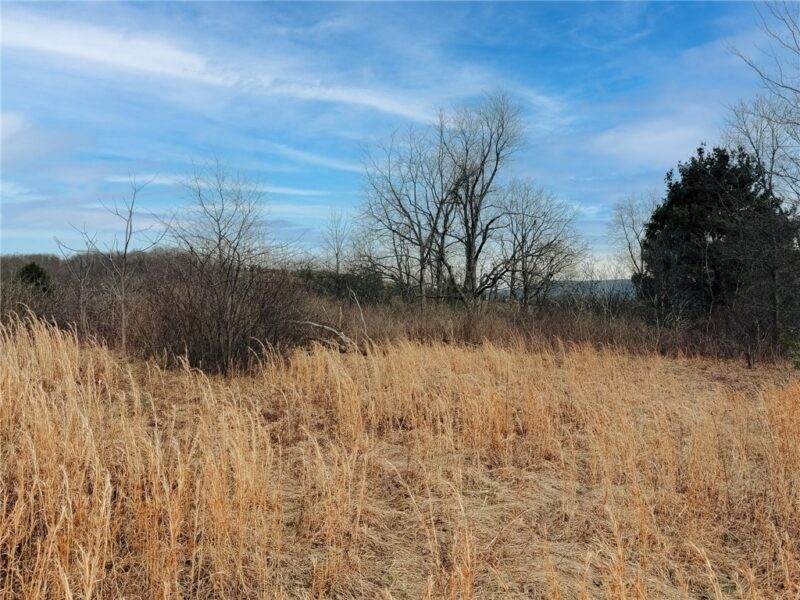0 County Line Rd — photo 3