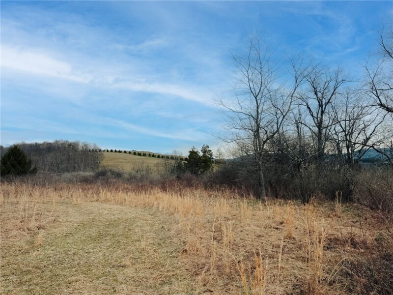 0 County Line Rd — photo 4