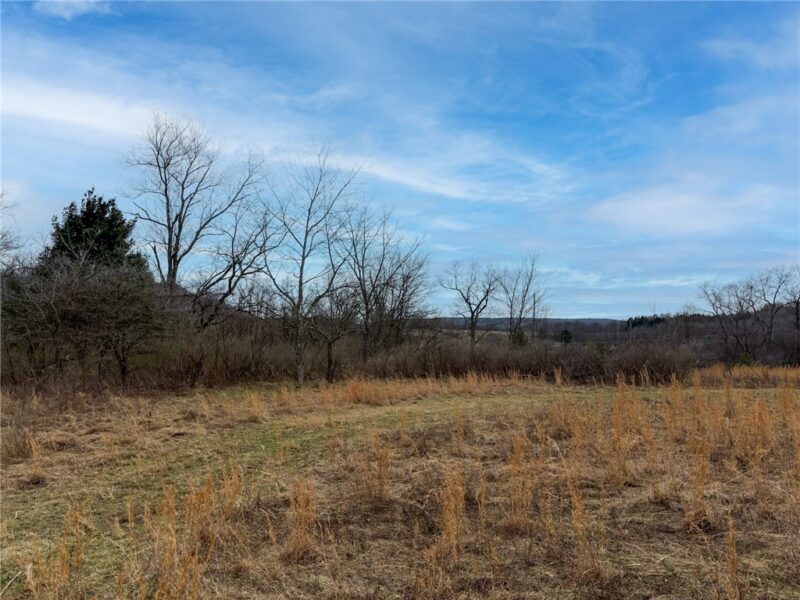 0 County Line Rd — photo 5