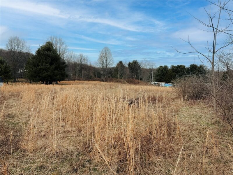 0 County Line Rd — photo 6