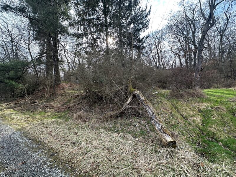 116 Seipe Lane — photo 2