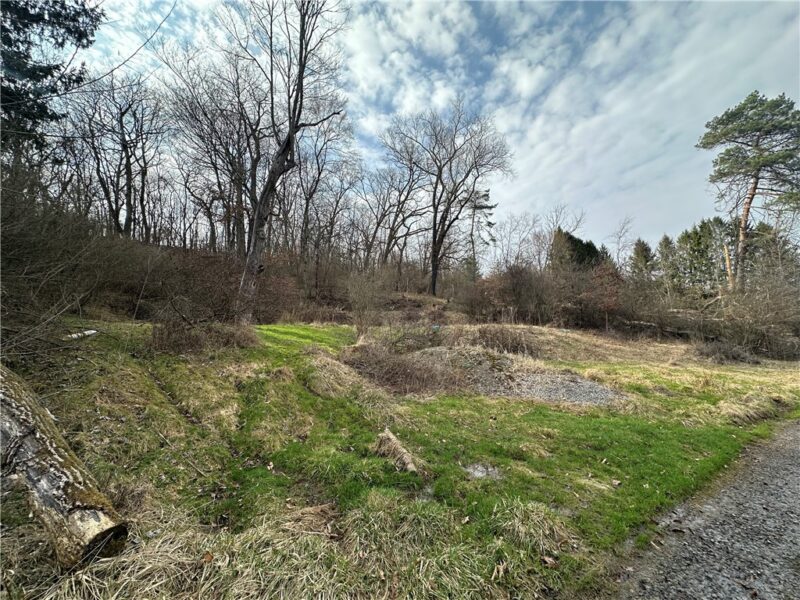 116 Seipe Lane — photo 5
