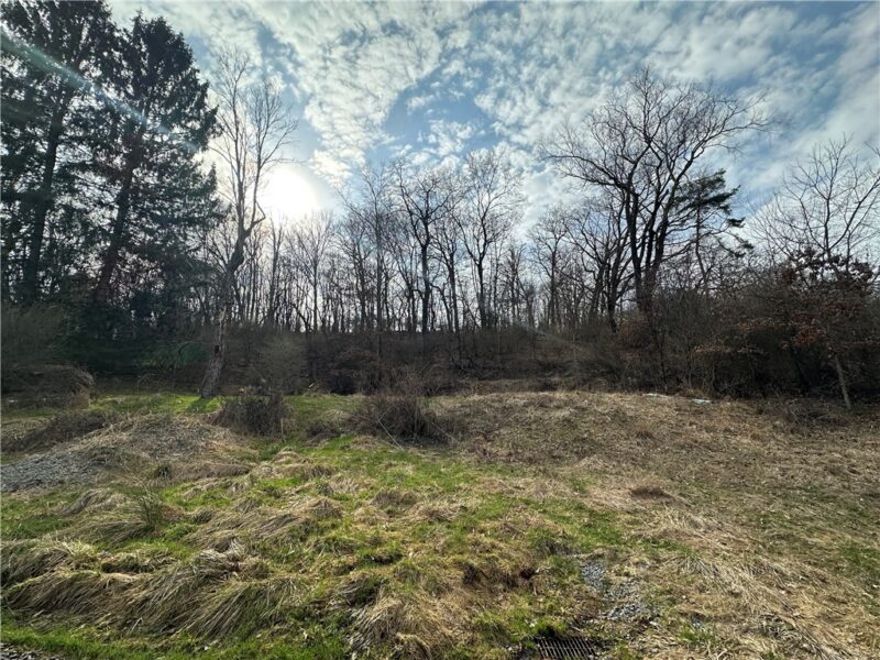 116 Seipe Lane — photo 6