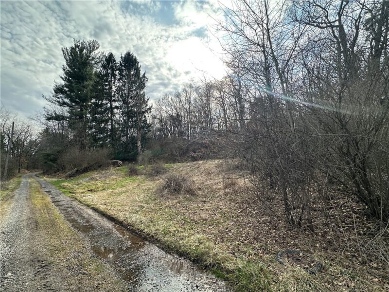 116 Seipe Lane — photo 8