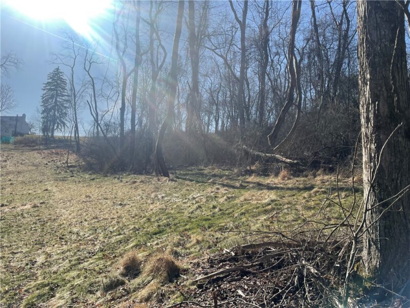 2304 Nicholson Road — photo 4