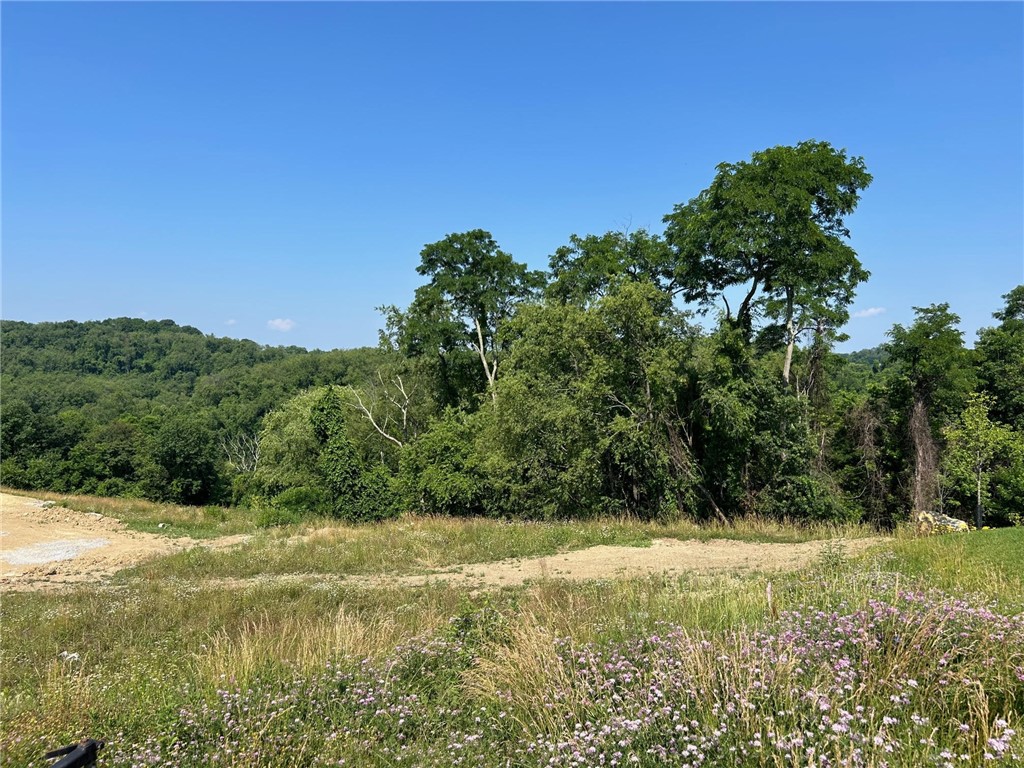 3055 Chestnut Ridge Dr — photo 1