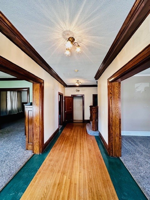 311 Richhill St — photo 2