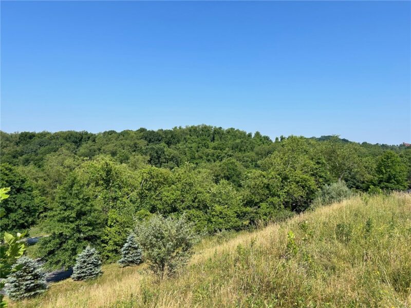 4005 Shenandoah Dr — photo 4