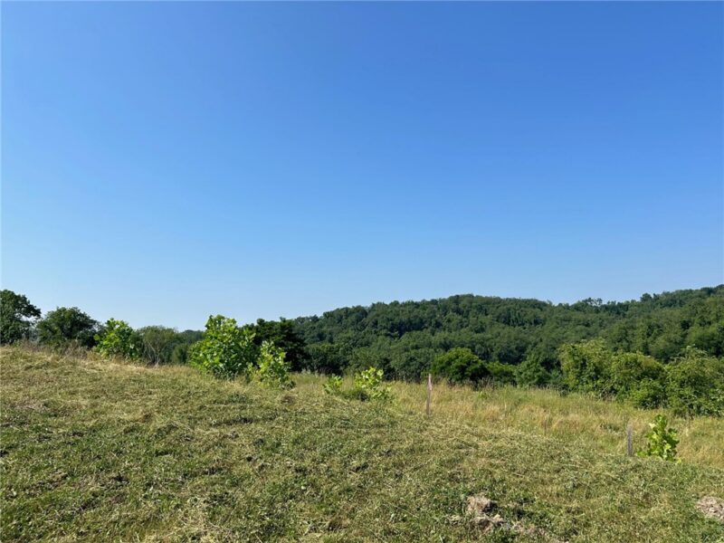 4005 Shenandoah Dr — photo 8