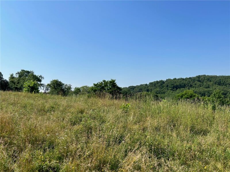 4003 Shenandoah Dr — photo 4