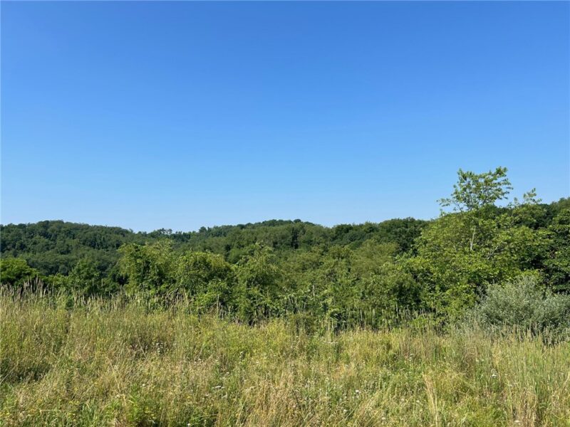 4003 Shenandoah Dr — photo 5