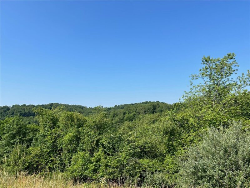 4003 Shenandoah Dr — photo 6