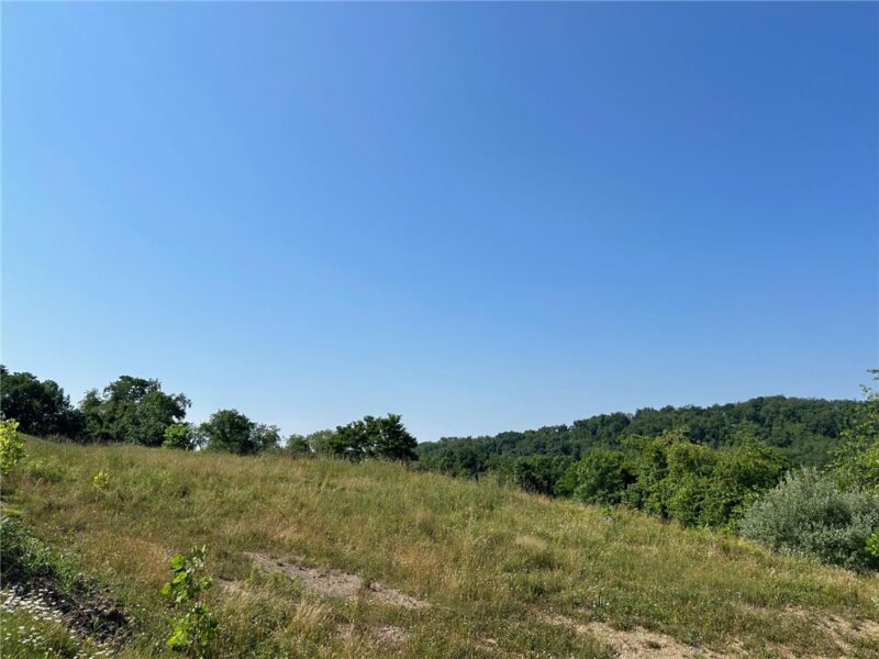 4003 Shenandoah Dr — photo 8