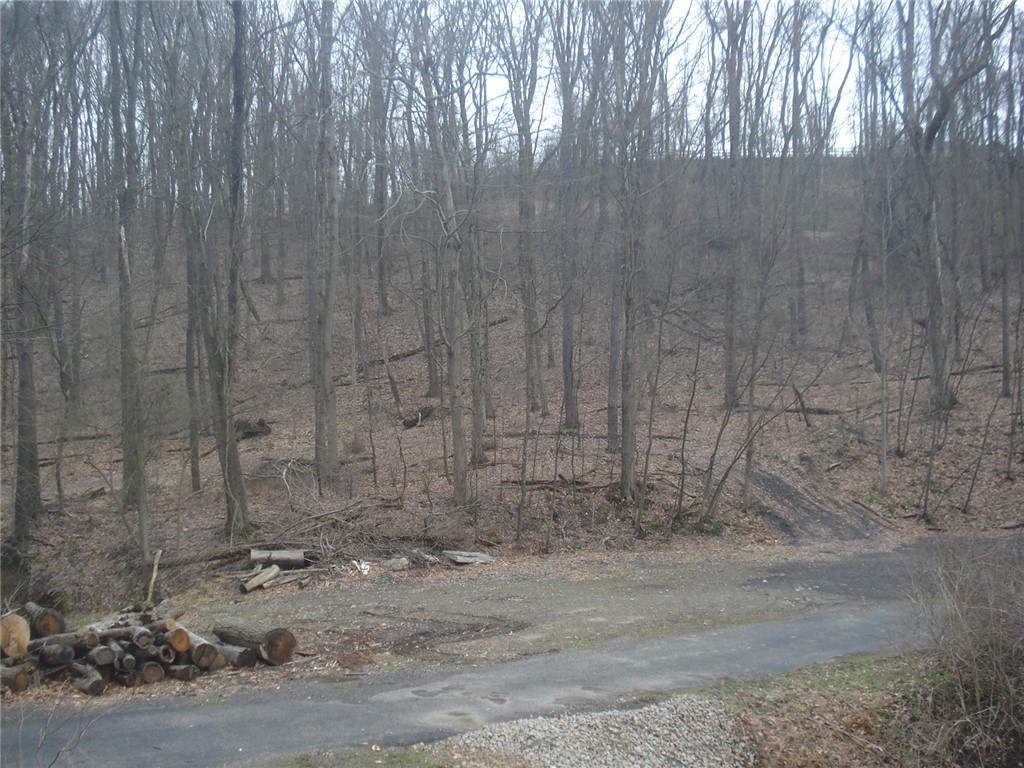 0 McDevitt — photo 1